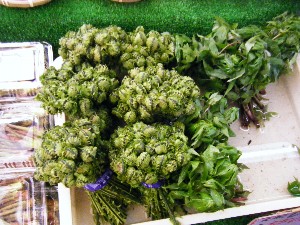 2008/04/26-�{���̔����ł�_6