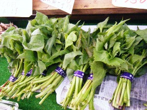 2008/04/26-�{���̔����ł�_8
