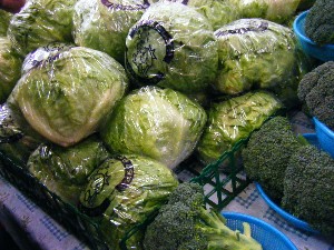 2008/04/26-�{���̔����ł�_17
