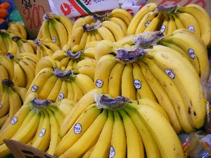2008/04/26-�{���̔����ł�_20