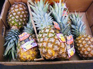 2008/04/26-�{���̔����ł�_25
