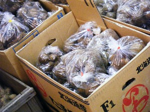 2008/04/26-�{���̔����ł�_27
