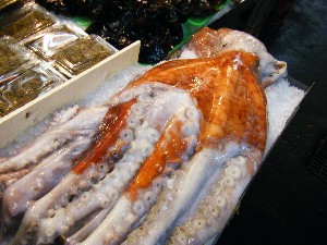 2008/04/26-�{���̔����ł�_32