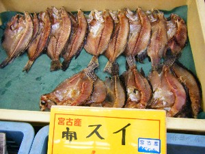 2008/04/26-�{���̔����ł�_37