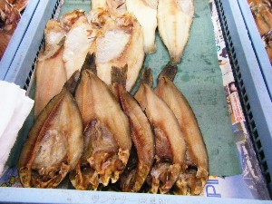 2008/04/26-�{���̔����ł�_38