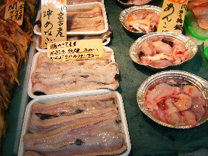 2008/04/26-�{���̔����ł�_41