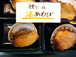 2008/04/26-�{���̔����ł�_43