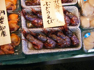 2008/04/26-�{���̔����ł�_48