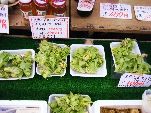 2008/05/03�{���̔����ł�_5