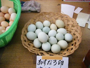 2008/05/03�{���̔����ł�_7