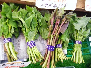 2008/05/03�{���̔����ł�_10