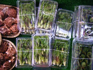 2008/05/03�{���̔����ł�_11