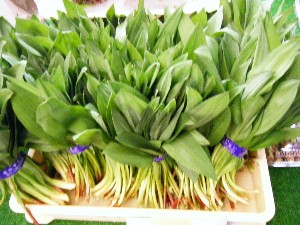 2008/05/03�{���̔����ł�_14