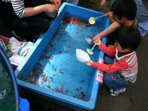 2008/05/03�{���̔����ł�_19