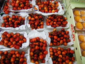 2008/05/03�{���̔����ł�_27