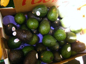 2008/05/03�{���̔����ł�_29