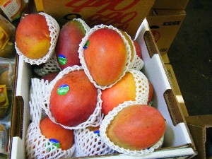 2008/05/03�{���̔����ł�_30