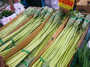 2008/05/03�{���̔����ł�_34