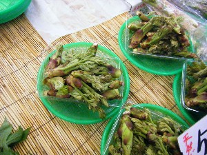 2008/05/03�{���̔����ł�_37