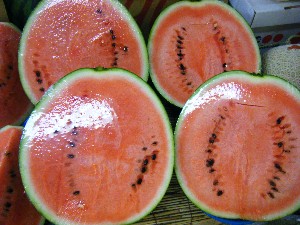 2008/05/03�{���̔����ł�_41