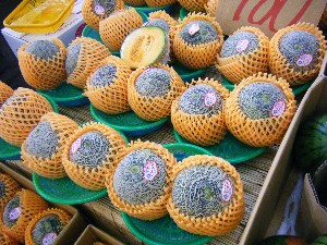 2008/05/03�{���̔����ł�_42