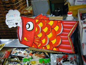 2008/05/03�{���̔����ł�_44