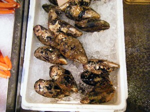 2008/05/03�{���̔����ł�_53