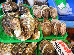 2008/05/03�{���̔����ł�_54