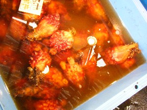 2008/05/03�{���̔����ł�_55