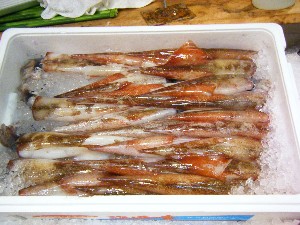 2008/05/03�{���̔����ł�_58