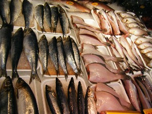 2008/05/03�{���̔����ł�_60