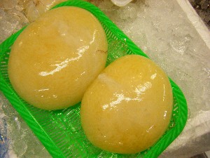 2008/05/03�{���̔����ł�_63