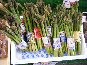20080510-�{���̔����ł�-_2