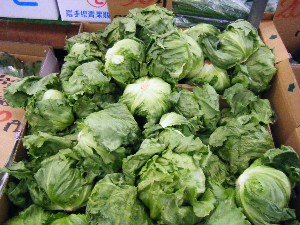 20080510-�{���̔����ł�-_13