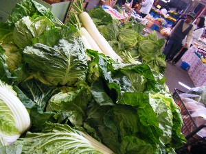 20080510-�{���̔����ł�-_20