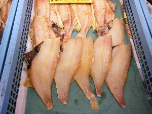 20080510-�{���̔����ł�-_31