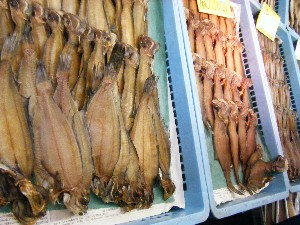 20080510-�{���̔����ł�-_34