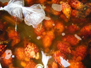 20080510-�{���̔����ł�-_38