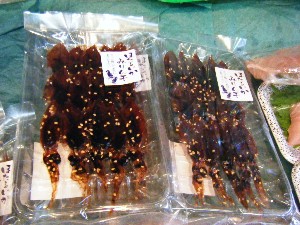20080510-�{���̔����ł�-_56