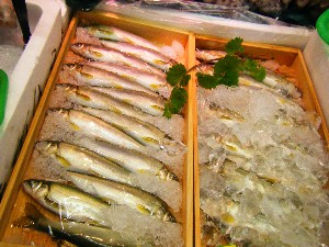 20080510-�{���̔����ł�-_63