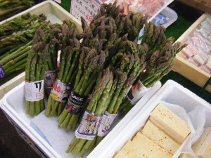 2008/05/17-�{���̔����ł�_1