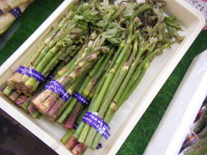 2008/05/17-�{���̔����ł�_2