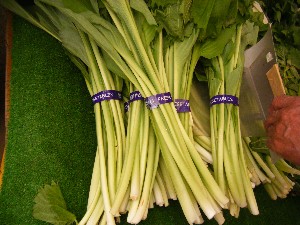2008/05/17-�{���̔����ł�_11