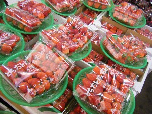 2008/05/17-�{���̔����ł�_15