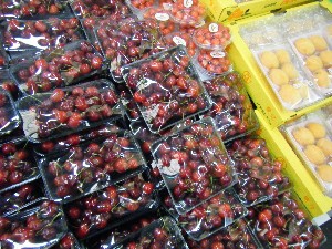 2008/05/17-�{���̔����ł�_16