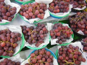 2008/05/17-�{���̔����ł�_17