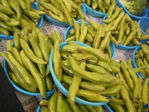 2008/05/17-�{���̔����ł�_19