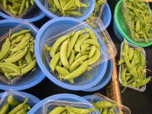 2008/05/17-�{���̔����ł�_20