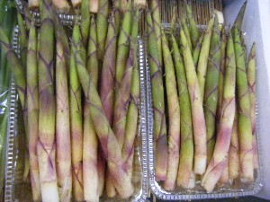 2008/05/17-�{���̔����ł�_21