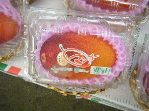 2008/05/17-�{���̔����ł�_23